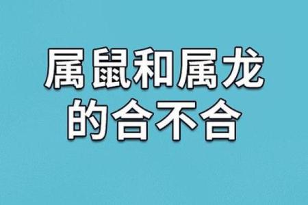 属龙人一生的命运与姻缘_属龙人一生的命运与姻缘关系