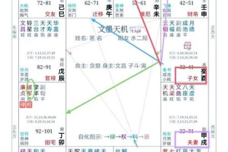 2025年3月10日寅时女命紫微斗数全解盘