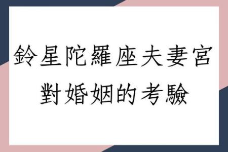 夫妻宫陀螺_夫妻宫陀螺陷怎么破