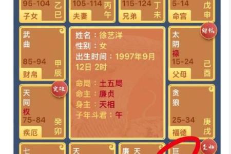 夫妻宫天贵星_夫妻宫天贵星解析婚姻运势与命理奥秘