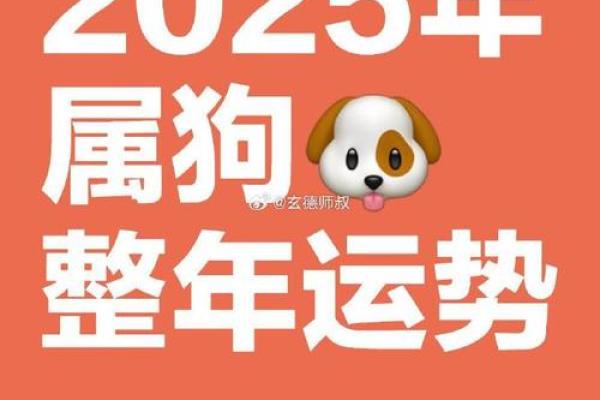 1982年属狗2025年运势及运程详解 1982年的狗在2025年怎么样