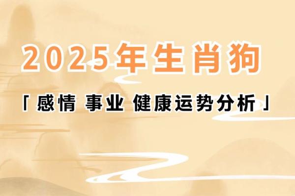 2006属狗男孩命运解析一生运势与未来展望