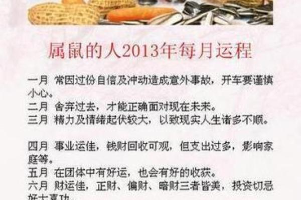 96年属鼠姻缘 96年属鼠姻缘解析最佳婚配与爱情运势揭秘