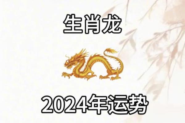 1976年属龙2025年财运怎么样_1976年属龙未来5年运势