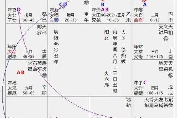 2025年2月20日丑时女命紫微斗数全解盘
