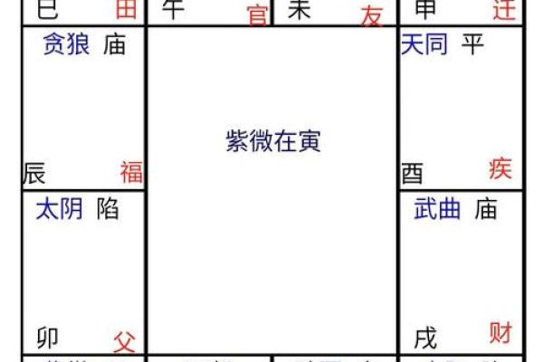 2025年3月14日丑时男命紫微斗数全解盘