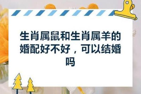 属鼠跟属羊婚配好不好_属鼠和属羊的婚配好不好