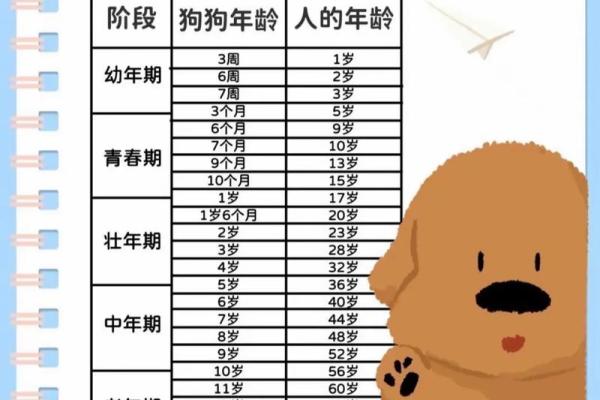 2025年属狗多大了 2025年属狗人年龄揭秘你几岁了