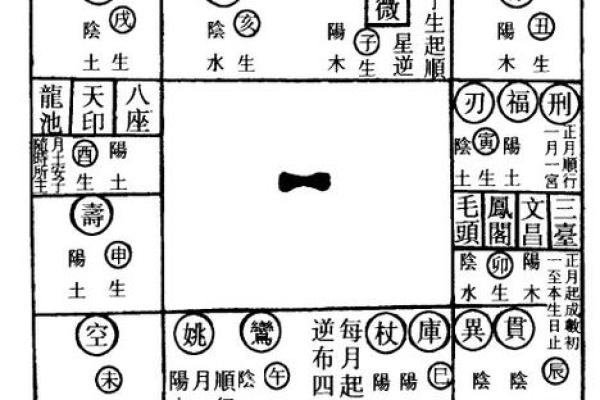 2025年3月28日寅时男命紫微斗数全解盘