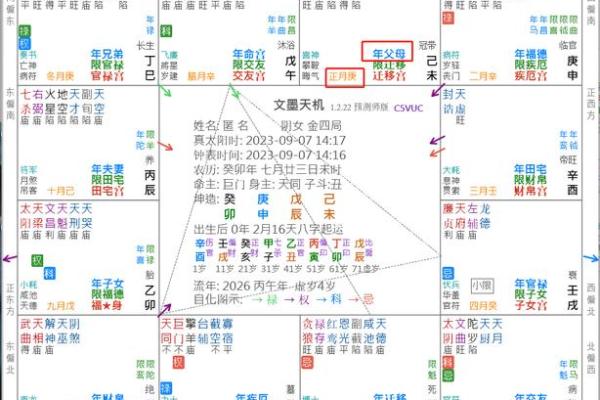 2025年2月27日子时女命紫微斗数全解盘