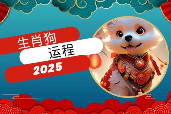 70年属狗的2025年运势和财运怎么样 2025年70年属狗人运势与财运全解析