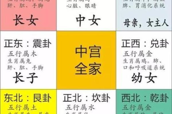 属马人出生日的命运_属马人出生日的命运详解