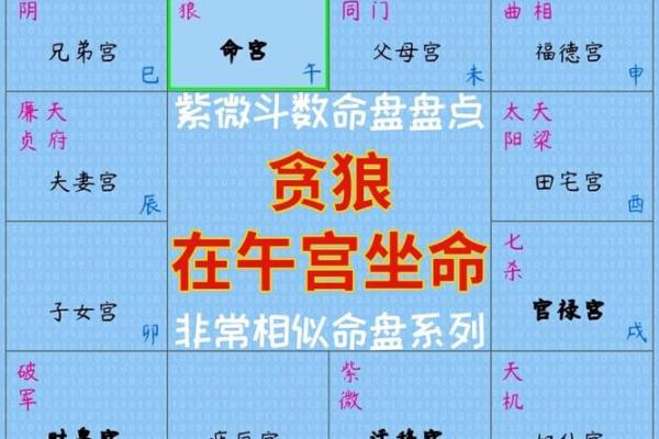 2025年2月16日丑时男命紫微斗数全解盘
