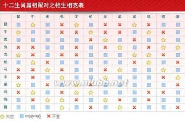 属兔的最佳配偶属相_属兔的最佳配偶属相有哪些