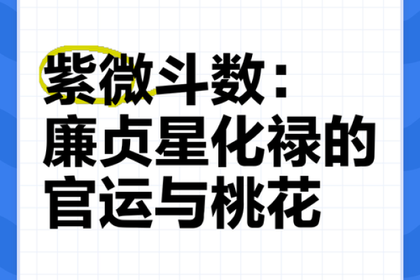 夫妻宫廉贞化禄_夫妻宫廉贞化禄揭秘婚姻幸福的关键星象