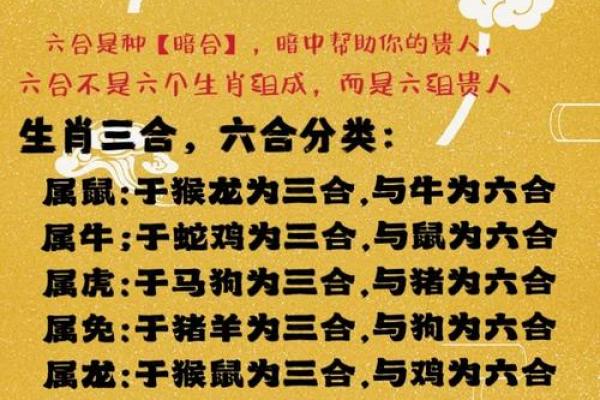 八拜之交打一个最佳生肖(八拜之交打一个最佳生肖是什么)