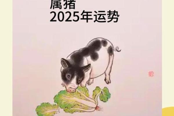 2025年属猪全年迲025年属猪人的全年运势女性_2025年猪人命运