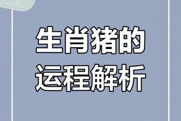 2025年属猪全年迲025年属猪人的全年运势女性_2025年猪人命运