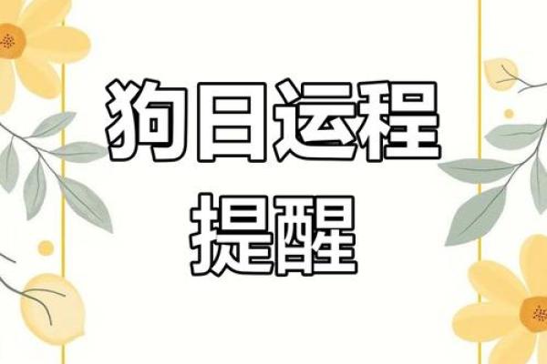 狗在2025年的运势如何_25年的狗运程