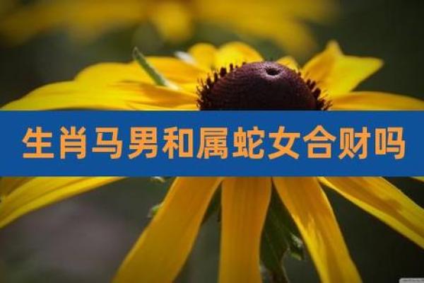 2002属马女最佳婚配_2002属马最佳配偶