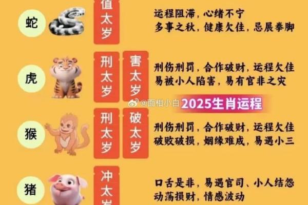 弄虚作假指什么生肖(弄虚做假是什么生肖)