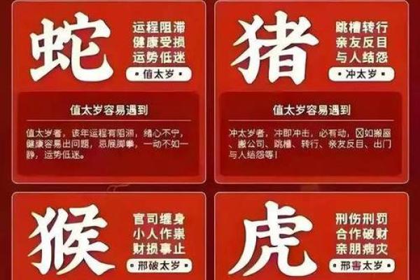 1975年属兔是什么命_1984属鼠的人是什么命