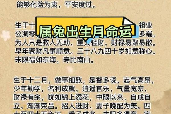1987年属兔2025年财运解析运势如何