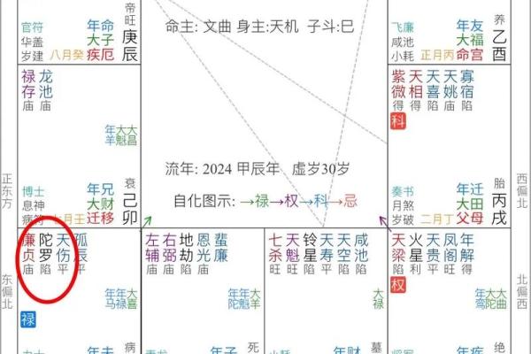 夫妻宫自化忌_夫妻宫自化忌解析婚姻运势与化解方法