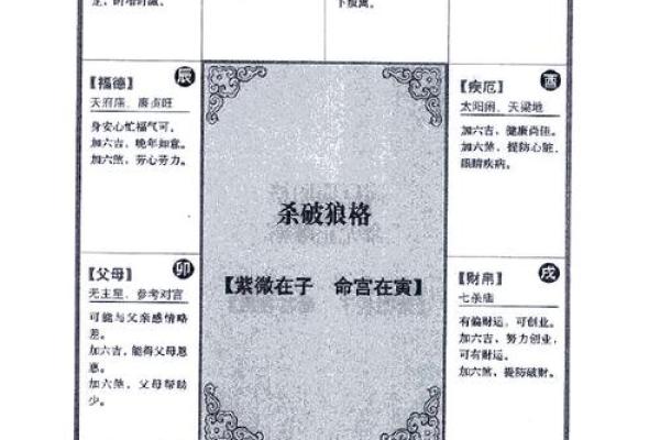 2025年3月7日寅时男命紫微斗数全解盘