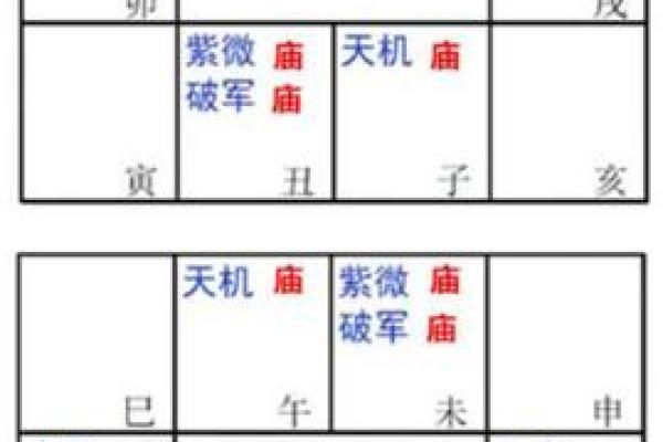 2025年3月10日子时男命紫微斗数全解盘