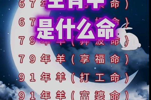 属羊的今天的财运运势 属羊今日财运运势解析财运亨通还是需谨慎