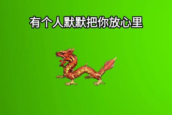 属龙的2025年多大_88年属龙37岁大劫
