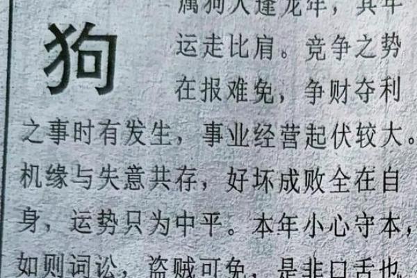 属狗的财运在哪个方向最好_94年属狗31岁有一劫