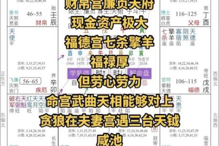 2025年3月28日寅时男命紫微斗数全解盘