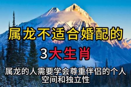 男属蛇女属龙适合做夫妻吗 男属蛇女属龙的婚姻怎么样