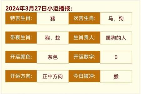2025年属猪人运势详解财运事业感情全解析