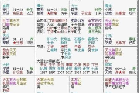 夫妻宫太阴什么意思_夫妻宫太阴太阳