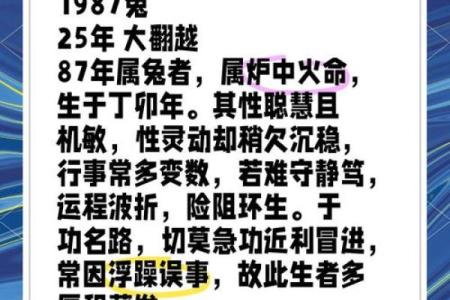 属兔2025年婚姻感情如何 属兔2025年婚姻感情运势解析幸福指数大揭秘