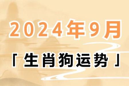 属狗人2025年最佳财位 1982属狗走大运在哪一年