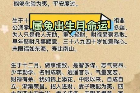 1987年属兔2025年财运解析运势如何
