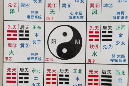 福德宫破军化权_福德宫破军化权命理解析与运势提升指南