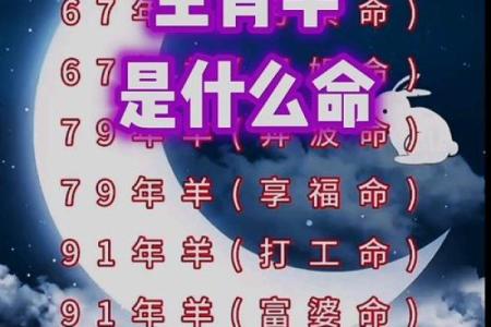 属羊的今天的财运运势 属羊今日财运运势解析财运亨通还是需谨慎
