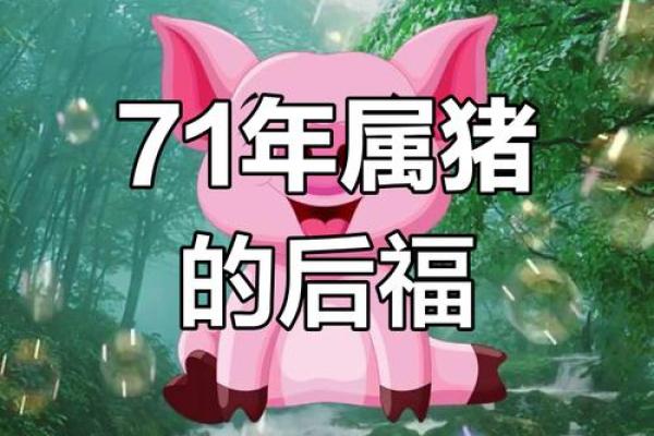 71年属猪女2025年运势及运程 2025年71年属猪女运势详解运程全解析