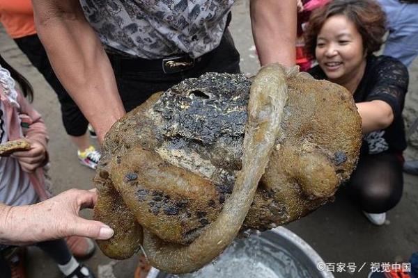 动土是啥意思(算卦说动土什么意思)