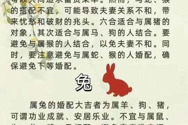 夫妻八字配对_夫妻八字配对老祖宗留下来的流传至今92年属鸡婚配