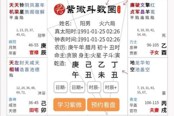 2025年2月25日丑时女命紫微斗数全解盘