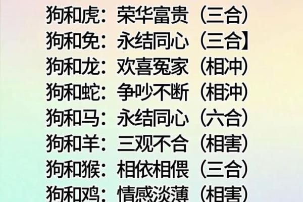 属狗的最佳配偶属相揭秘最配生肖组合