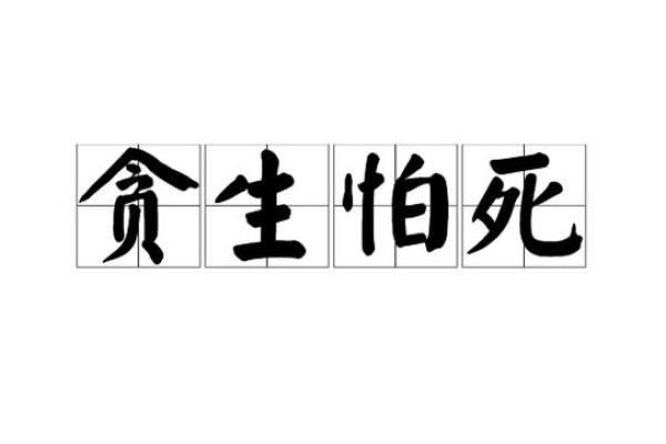 贪生怕死打一生肖(贪生怕死形容什么生肖)