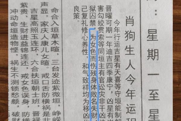 蛇年属狗人的运势如何_蛇年属狗人运势解析2023年运程全揭秘