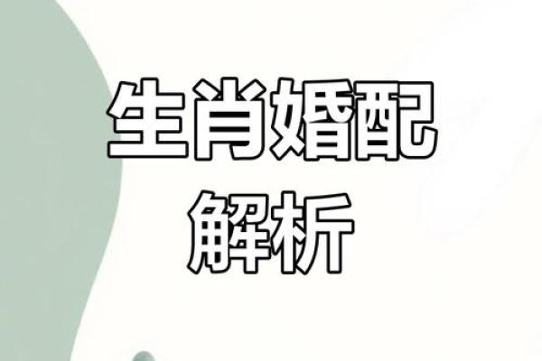属猪和属马的适合做夫妻吗_90男马95女猪婚配为大忌